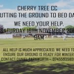 Cherry Tree end of season clean up – Help needed